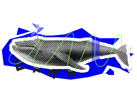 Whale